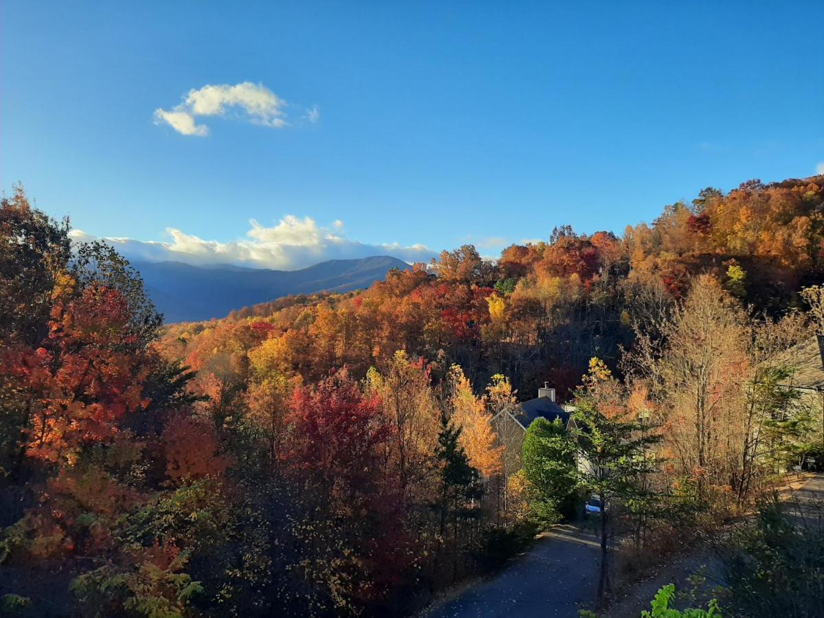 גטלינבורג 3 Decks, Mtn Views! Tree Tops By Honeybearcabins - Luxury Rain Showers, 3 King Suites, Xl Hottub, Fireplace, Bear Sightings מראה חיצוני תמונה